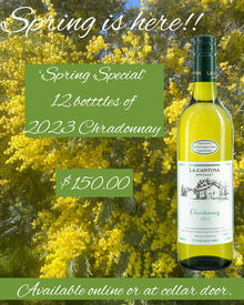 Chardonnay 2023 - Dozen Special
